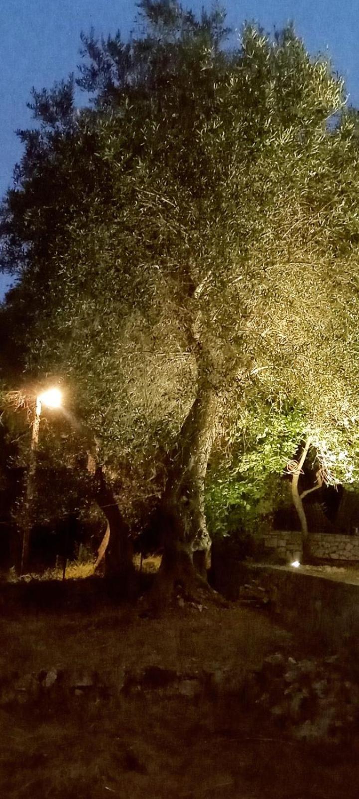 Villa Makris Zenempisatika ภายนอก รูปภาพ